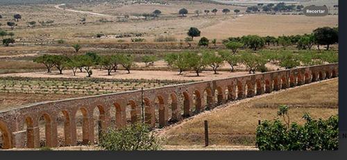 a train traveling over a bridge in a field at Casa Rural El Almendro in Fernán Pérez