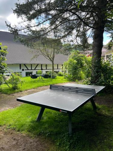 Stolní tenis v ubytování Ferieninrosengarten - Wohnung Erdgeschoss Süd nebo okolí