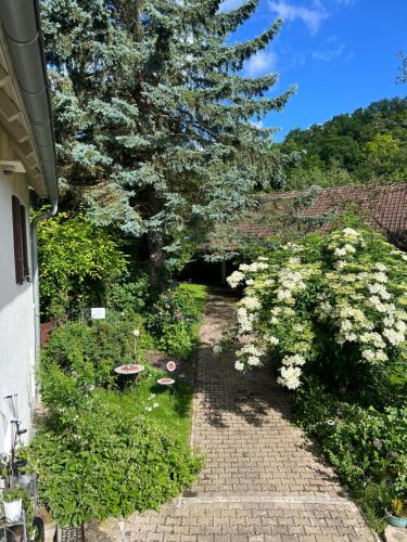 Zahrada ubytování Ferieninrosengarten - Wohnung Erdgeschoss Süd