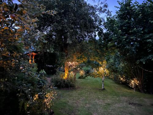 Zahrada ubytování Ferieninrosengarten - Wohnung Erdgeschoss Süd