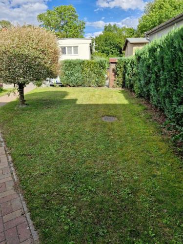 a yard with a lawn with a tree and a house at Ferienhaus an der Brunnenaue 4 Sterne, E-Ladestation am Haus, Wlan, Netflix, Garten in Sagard