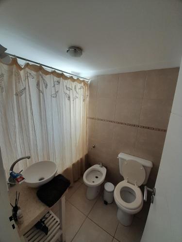 a small bathroom with a toilet and a sink at Depto Martinez in Tandil