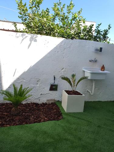 a bathroom with a sink and a plant at Salento31 in Collepasso