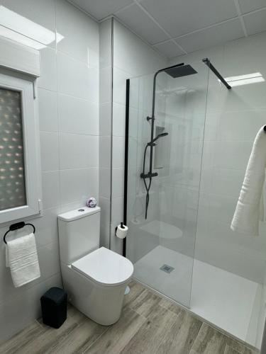 a bathroom with a toilet and a glass shower at Linerlife in Málaga