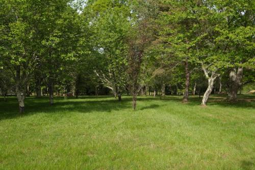 a field of grass with trees in a park at Les Cabanes de Lara in Ménesplet