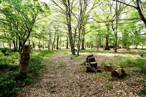 a wooden bench in the middle of a forest at Les Cabanes de Lara in Ménesplet
