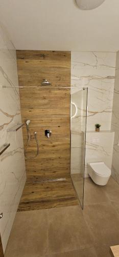 a bathroom with a shower and a toilet at Oliane Rooms & Accommodation in Bribir