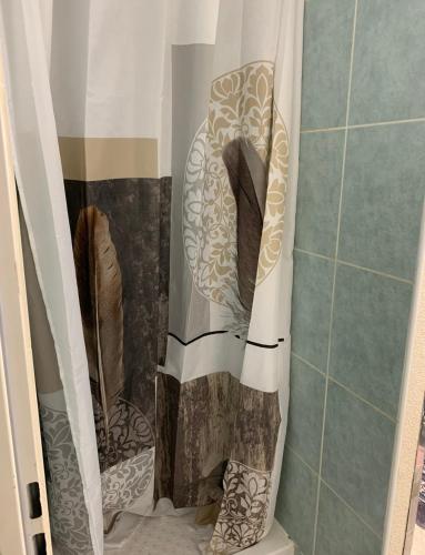 une douche avec un rideau de douche dans une salle de bain dans l'établissement Wildust ranch, à Le Soulié