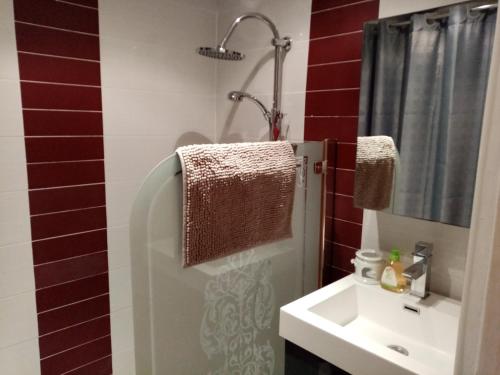 une salle de bain avec un lavabo et une douche avec un miroir dans l'établissement Cabourg agréable T2 résidence calme - Terrasse 20m2 - Animaux bienvenus, à Cabourg