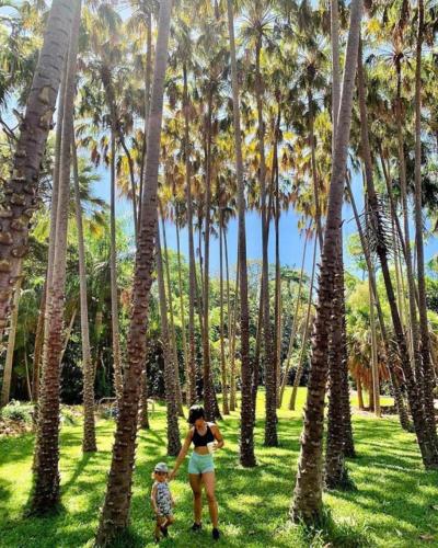 a woman and a child walking through a palm tree forest at Sitting on the Dock of the Bay in Stuart Park
