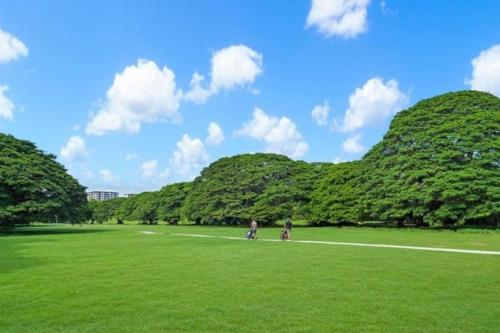 two people walking in a grassy field with trees at Sitting on the Dock of the Bay in Stuart Park