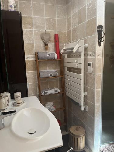 a bathroom with a white sink in a room at La Taniere in Blachière