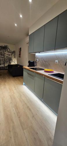 Il comprend une cuisine avec des placards gris et du parquet. dans l'établissement Casa di missia, à Sartène