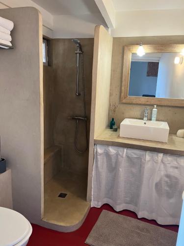 une salle de bain avec un lavabo et une douche dans l'établissement Le Loft de Roxane Centre historique Aix en Provence, à Aix-en-Provence