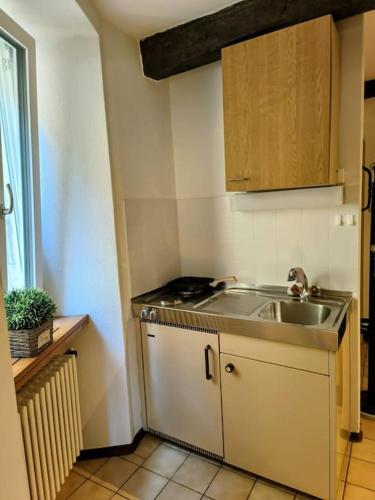 Romantic Apartment Sonvico