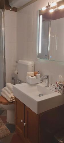 Koupelna v ubytování Villa Costanza Appartamento con balcone e vista giardino