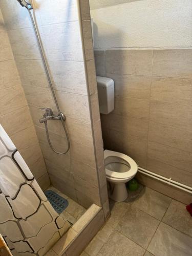 a bathroom with a shower stall with a toilet at Apartman Jezera Village 2 in Žabljak