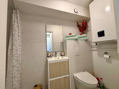 a bathroom with a toilet and a sink and a mirror at Le Calypso, studio avec terrasse à 50m de la mer ! in Ploemeur