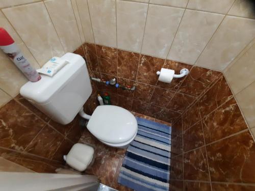 a small bathroom with a toilet and a sink at Zöld Béka Apartmanok Kölcsey II in Hajdúszoboszló