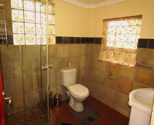 ein Badezimmer mit Toilette und Dusche in der Unterkunft Suburban oasis in quiet neighborhood in Johannesburg