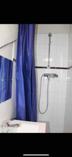 une salle de bain avec une douche avec un rideau de douche bleu dans l'établissement Nice studio,Rue Didot, à Paris