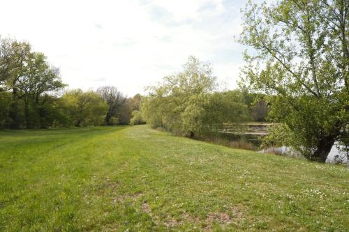 a grassy field next to a river with trees at Les Cabanes de Lara in Ménesplet