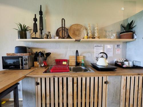 a kitchen counter with a sink and a microwave at Fever Tree Guesthouse in Hillcrest
