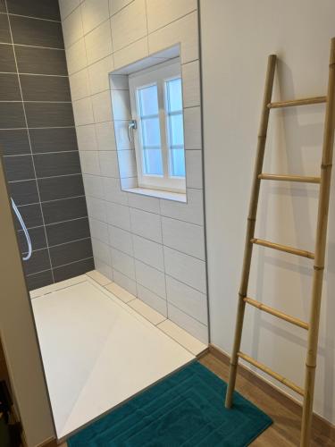 a shower with a ladder and a window in a bathroom at Au Jardin de Mamie in Lembach