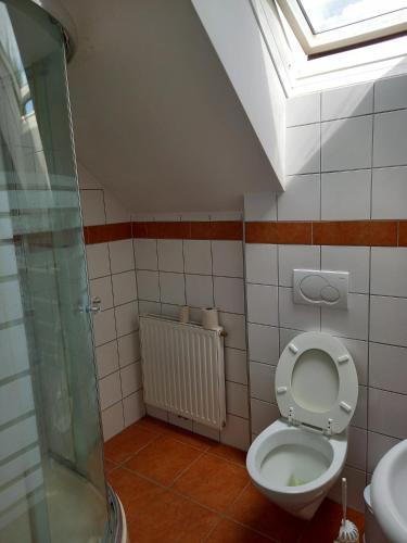a bathroom with a toilet with a skylight at dieUnterkunft in Neutillmitsch