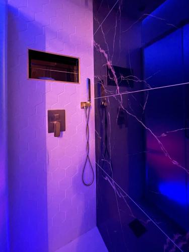 La salle de bains est pourvue d'une douche avec un mur violet. dans l'établissement GI-AZ Love room, à Bondy