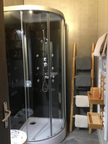 une douche avec une cabine en verre dans une salle de bain dans l'établissement Chambres d'hotes La Maison Bleue, à Souvans