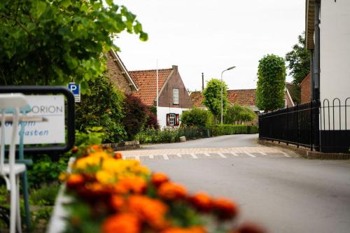 vista su una strada con un mucchio di arance di Hotel Orion a Kaag