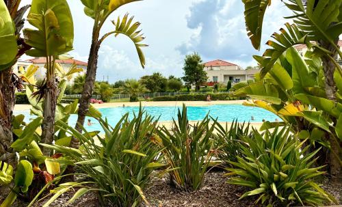 Beachside Apartment with Pool & Garden in Juan les Pins