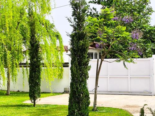 Fotografie z fotogalerie ubytování Seaside Jacaranda v destinaci Schinias