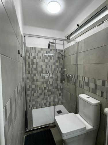 Un baño con inodoro y ducha de cristal. en Ocean Apartment, en Carvoeiro