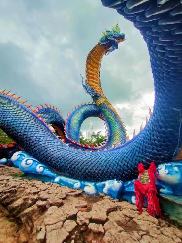 a dragon statue sitting on top of a rock at โฮมสเตย์บ้านญาติมุกดาหาร in Ban Muang Ba
