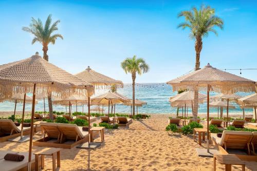 a beach with chairs and umbrellas and palm trees at Hyatt Vivid Grand Island Cancun-All Inclusive Adults Only in Cancún