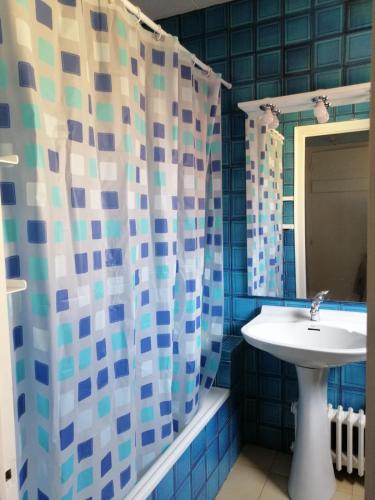 a bathroom with a sink and a shower curtain at Apartament Bellserrat in Sant Pere de Torelló