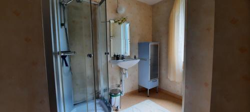 a bathroom with a shower and a sink at Småland Eksjö 2 mooie appartementen in Höreda