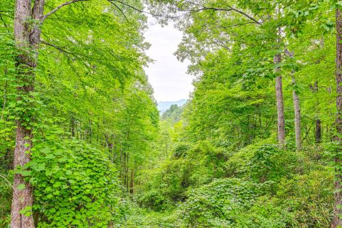 a path through a forest with green trees at Smoky Mountain Cabin with Fire Pit and Stunning Views! in Andrews