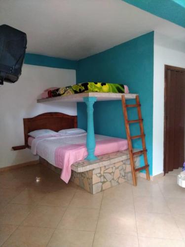 a bedroom with a bunk bed and a ladder at Buzios Posada in Chichiriviche