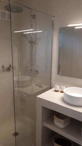 une salle de bain avec une douche en verre et un lavabo dans l'établissement Maison bord de mer Marine de San't Ambroggio, à Lumio