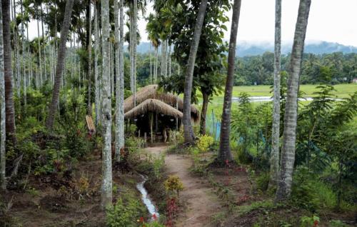 a hut in the middle of a forest of palm trees at Wayanad Kuruva Isles Jungle Resort in Chekadi