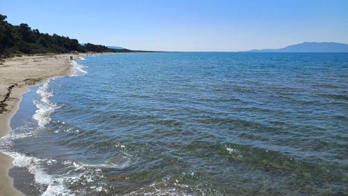 a view of the shore of a beach at Glamping Podere Angiotto LODGE LAVANDA in Magliano in Toscana