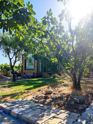 a cottage with a tree and a stone path at Dikili ZeyTiny House in Dikili