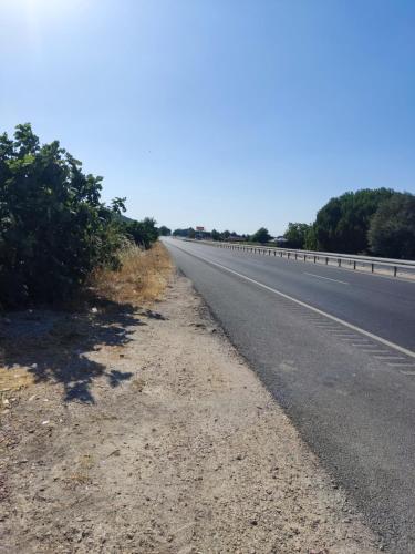 an empty highway with trees on the side of it at Dikili ZeyTiny House in Dikili