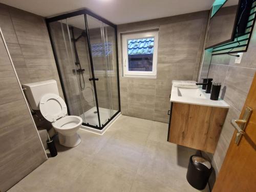 a bathroom with a toilet and a shower and a sink at Laubach Apartments in Laubach