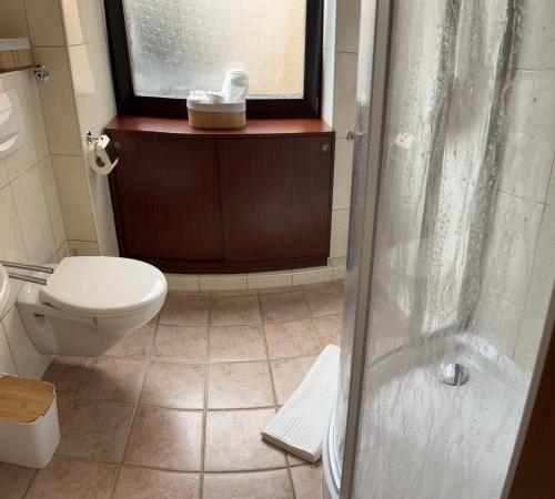 a bathroom with a shower and a toilet and a window at Medina in Düsseldorf