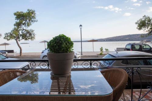 a table with a potted plant sitting on top at Nerissa Seafront apartment in Itea