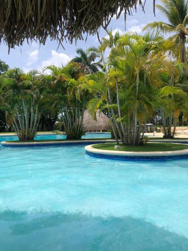 a swimming pool with palm trees and blue water at Playa Coronado - Suite Privada en Hotel Coronado Luxury Club & Suites in Chame